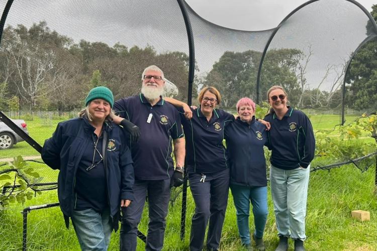 Regular volunteers netting